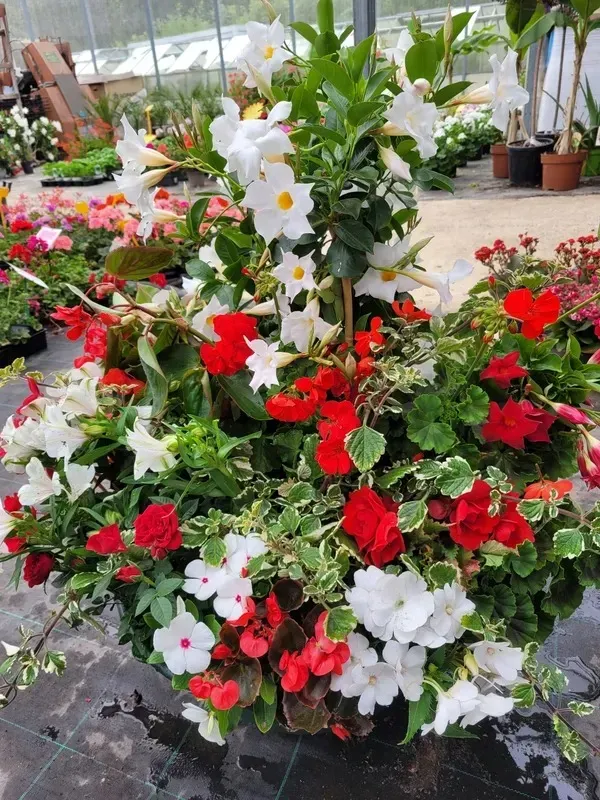 composition-florale