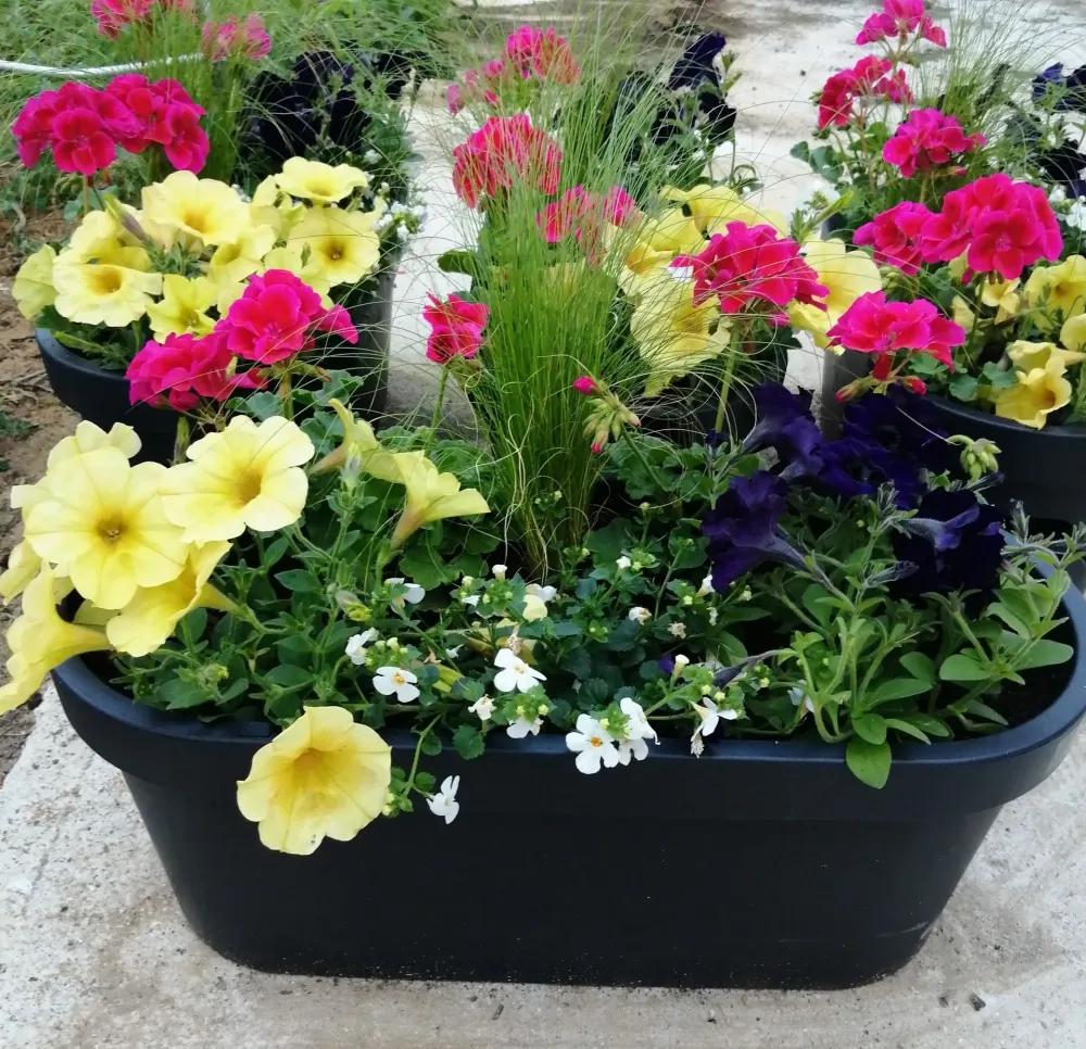 confection-jardinieres(1)